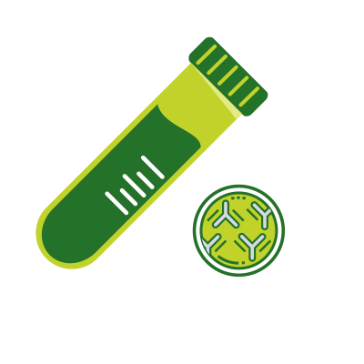 Antibody illustration